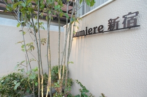 Lumiere新宿 303号-13