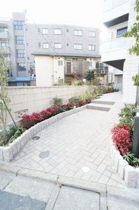 Ｆｅｌｉｓｅｅｄ 203号-12