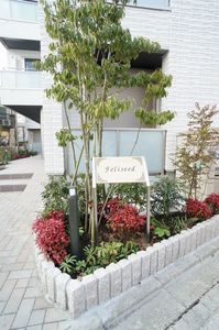 Ｆｅｌｉｓｅｅｄ 203号-14