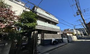 Sumino 301号-5