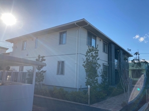 ウィステリア天神