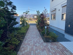 ウィステリア天神 101号-14