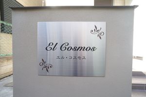 El Cosmos 101号-15