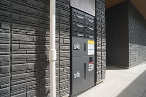 ＭＡＵＮＡ　ＬＡＮＩ 101号-3