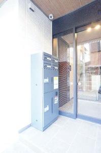 Bela Domo 大和 101号-4