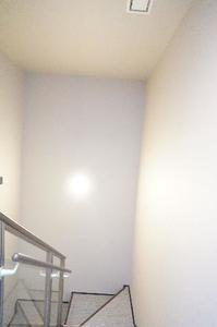 Bela Domo 大和 101号-5