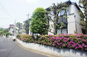 ウィンドウズ 106号-13