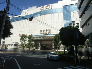 ピアコート MK A 105号-13