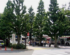 アザリー武蔵野 102号-13