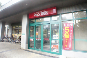 ＢＥＥ　ＨＩＶＥ 102号-15