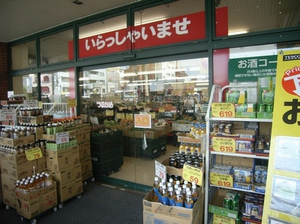 シャーメゾン西蒲田 101号-13