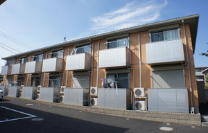 Amyris 105号-12