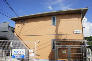 Amyris 105号-13