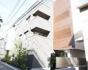 Ｓｔｅｌｌａ　ｄｕｅ