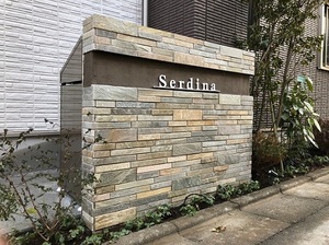 セルディーナ 301号-15