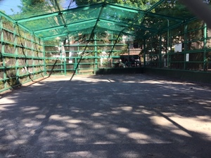 ソレイユ本駒込 401号-4