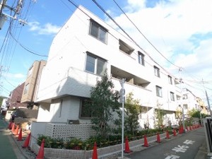 ユーカリプタス　目白台 206号-1