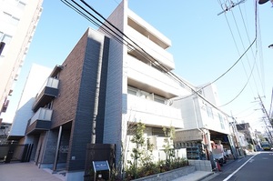 Ｌｏｔｕｓ　Ｂｒａｎｃｈｅｓ