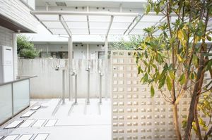 Ｖｉｔａ　Ｒｉｃｃａ　Ｖｅｒｏ V21号-14