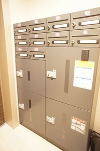 Ｖｉｔａ　Ｒｉｃｃａ　Ｖｅｒｏ V21号-15