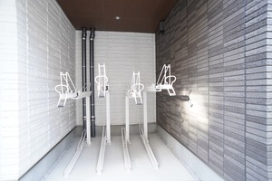 ＡＬＶＩＮＥＳＳ　Ｄ　Ｋｏｍａｇｏｍｅ 101号-12