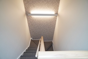 ＡＬＶＩＮＥＳＳ　Ｄ　Ｋｏｍａｇｏｍｅ 101号-14