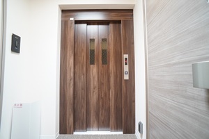 ＡＬＶＩＮＥＳＳ　Ｄ　Ｋｏｍａｇｏｍｅ 101号-15