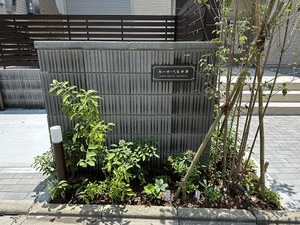 カーサ・ベル千早 A号-12