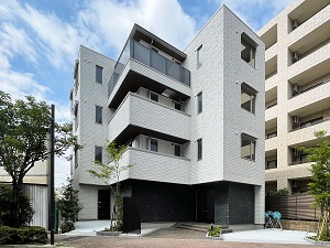 アストロフィラ 201号-1