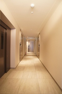 Ｖｉｔｒａｉｌ　Ｆｕｋａｓａｗａ 202号-14