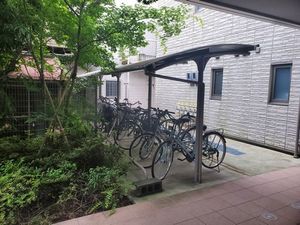 ベルニナ 301号-15