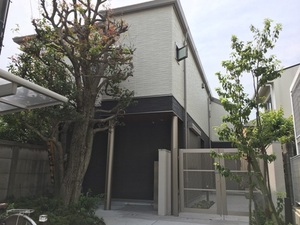 エレウテリア 202号-1