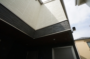 エレウテリア 202号-4