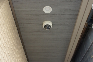 プリマベーラ 301号-13