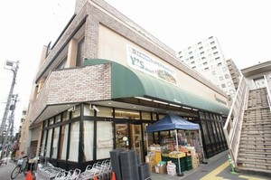 Feliseed Negishi 201号-15