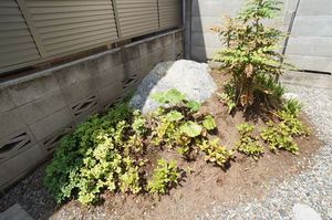 レフィアント 101号-14