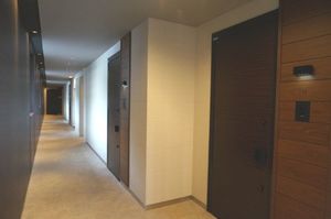 Ａｍｂｉｅｒａ 103号-9