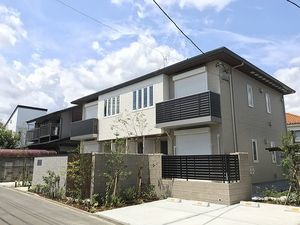 Ｐｉｎｅ　Ｌｉｍｂ　Ｂ