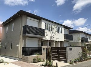 Ｐｉｎｅ　Ｌｉｍｂ　Ｂ 201号-12