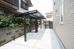 Ｐｉｎｅ　Ｌｉｍｂ　Ｂ 201号-14