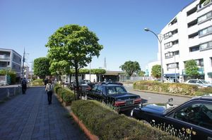 セジュール虹ヶ丘 106号-8