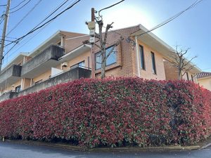 フラワーマンション 302号-13