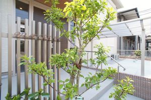 ミドルフィールド羽衣町 202号-12