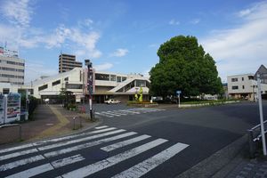 シャーメゾン小作台 103号-13