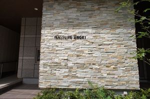 ＭＡＳＴＬＩＦＥ鵜の木 105号-15