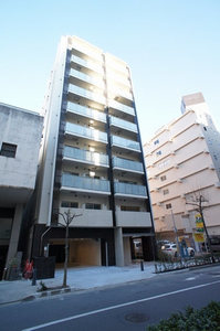 Ｌｉｌｉｅ　Ｓｈｉｎｙｏｋｏｈａｍａ