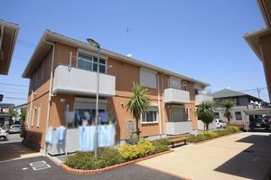 ＳｈａＭａｉｓｏｎ　Ｐｏｐｐｙ　Ⅰ 203号-1