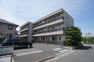 Ｔ－ＳＱＵＡＲＥ