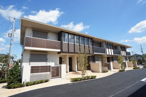 Ｆｅｌｉｓｅｅｄ