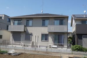 ベル・フリージア